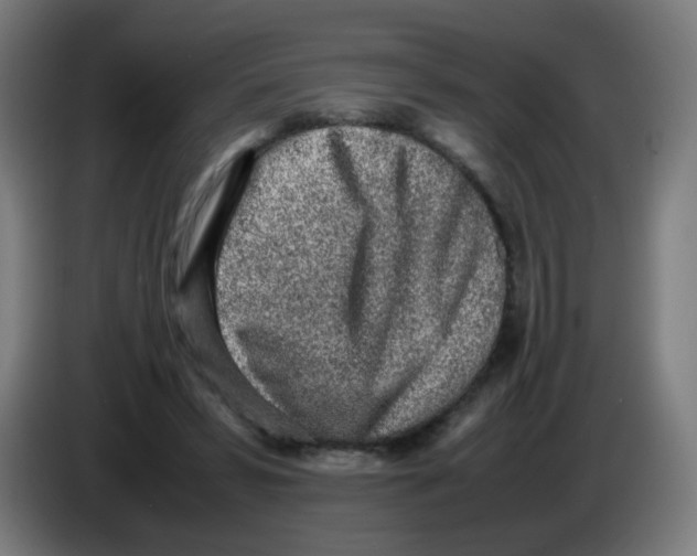 X0000086230399200704261900