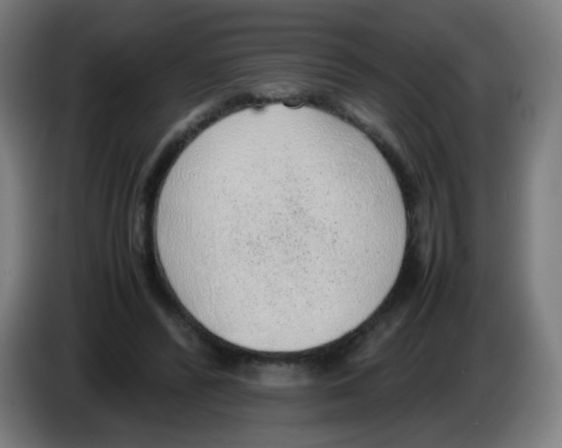 X0000086230400200704261900