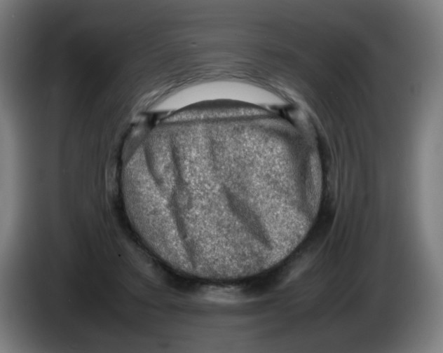 X0000086230403200704261900