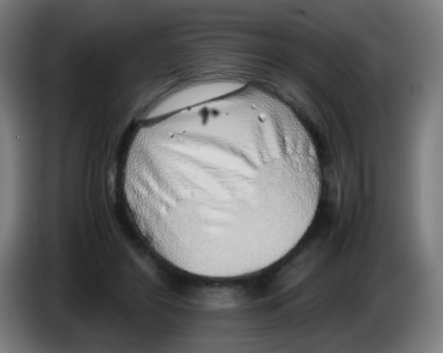 X0000086230404200704261900