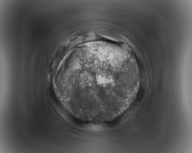 X0000086230405200704261900