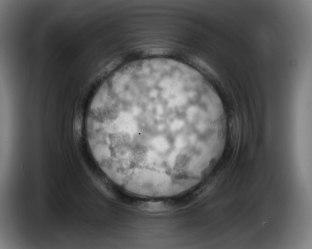 X0000086230406200704261900