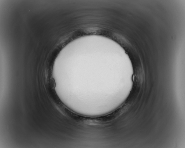 X0000086230408200704261900