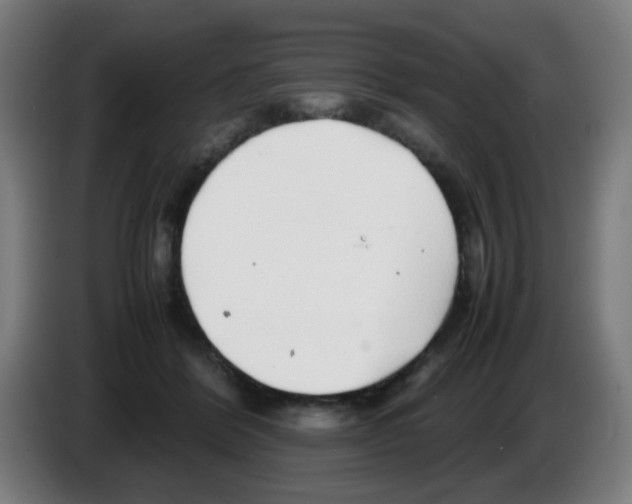 X0000086230412200704261900