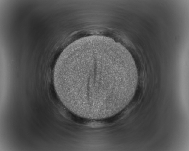 X0000086230413200704261900