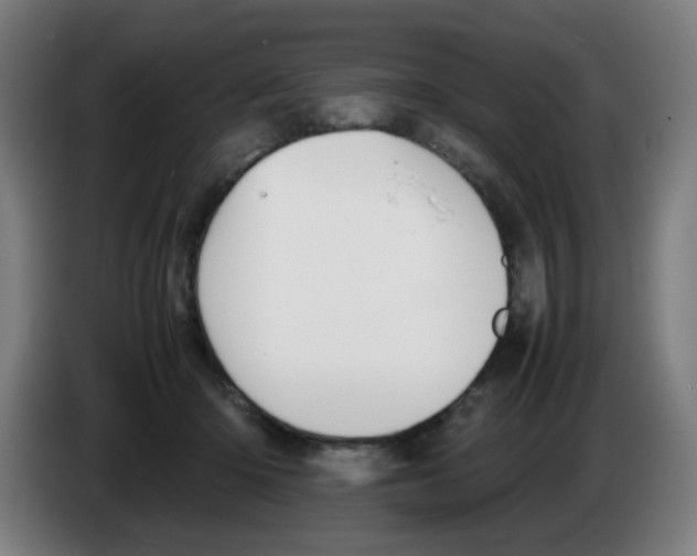 X0000086230414200704261900