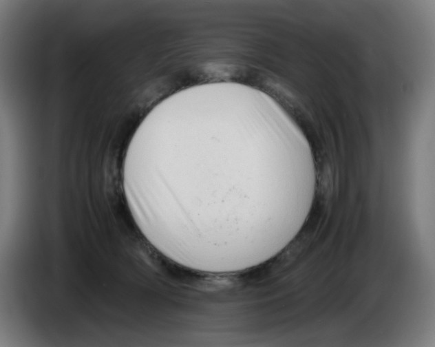 X0000086230418200704261900