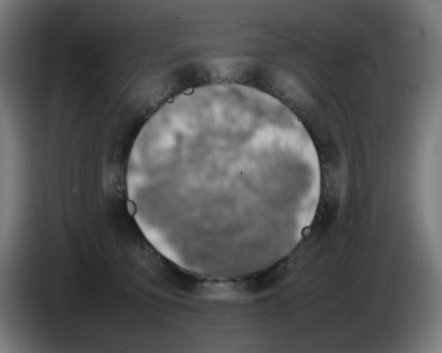 X0000086230419200704261900