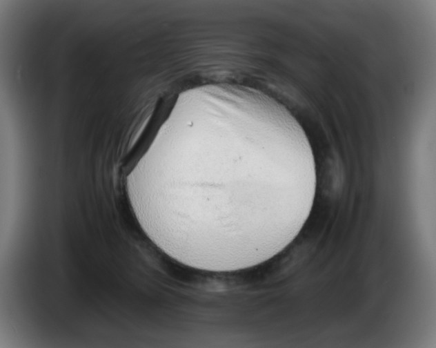 X0000086230420200704261900