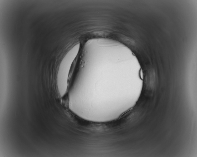 X0000086230424200704261900