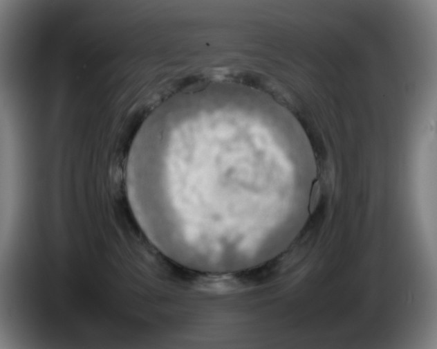 X0000086230427200704261900