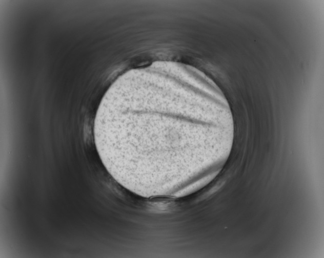 X0000086230432200704261900