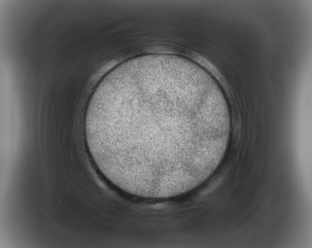 X0000086230433200704261859