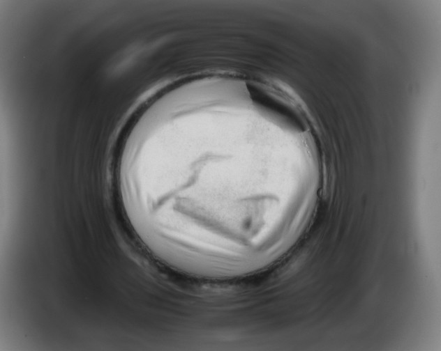 X0000086230435200704261859