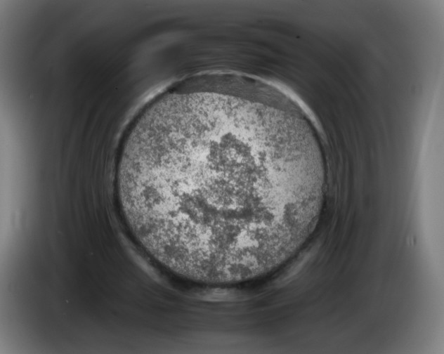 X0000086230437200704261859