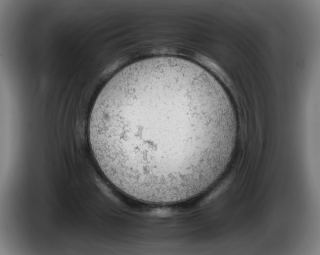 X0000086230441200704261859