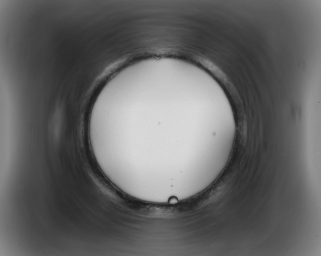 X0000086230442200704261859