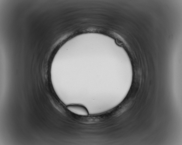 X0000086230443200704261859