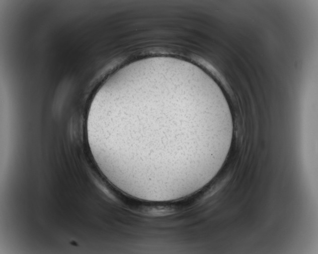 X0000086230445200704261859