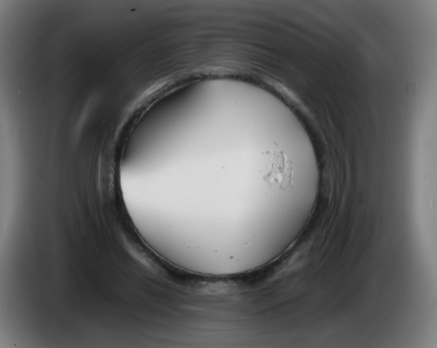 X0000086230446200704261859