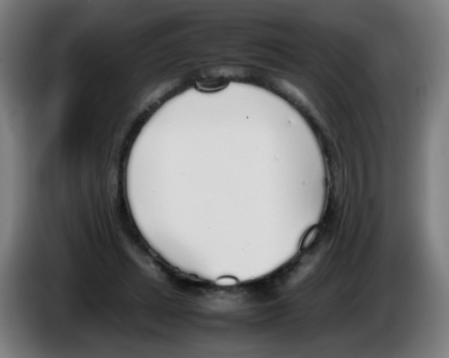 X0000086230447200704261859