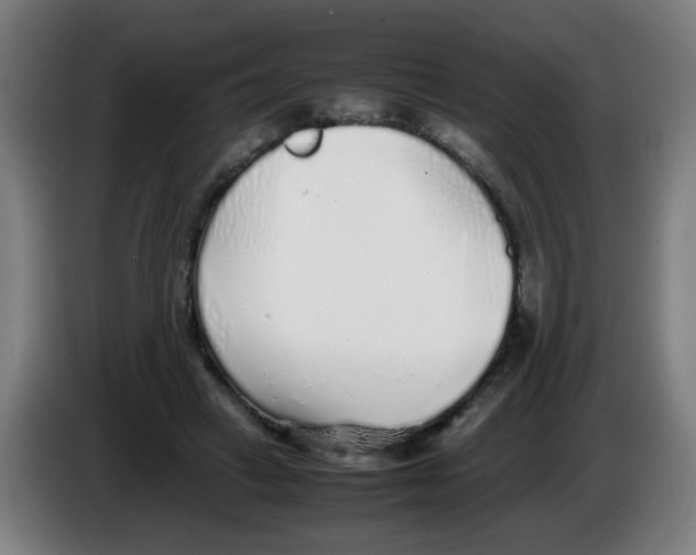 X0000086230449200704261859