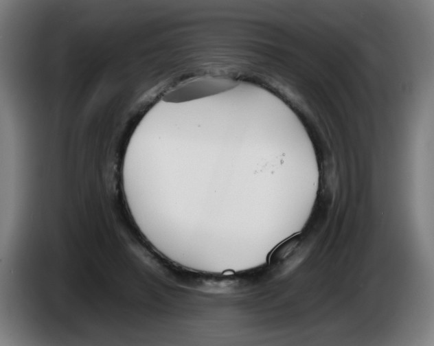 X0000086230450200704261859