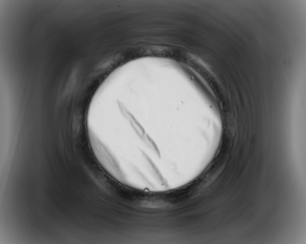 X0000086230451200704261859