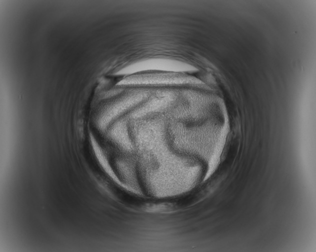 X0000086230452200704261859