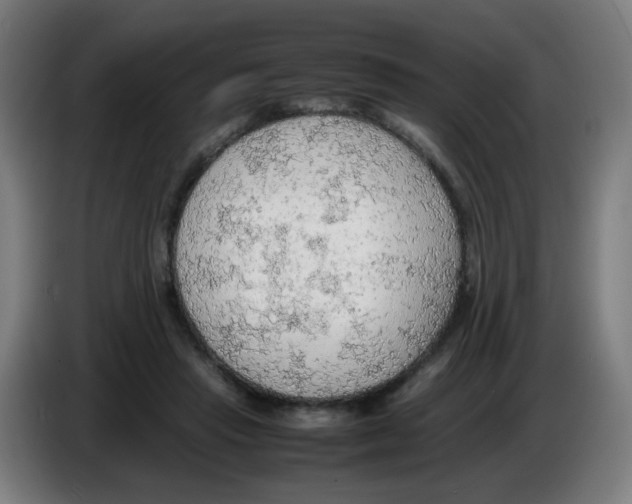 X0000086230453200704261859