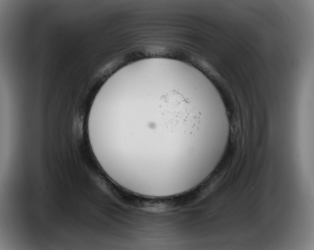 X0000086230454200704261859