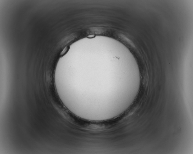 X0000086230455200704261859