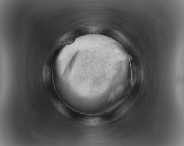 X0000086230456200704261859