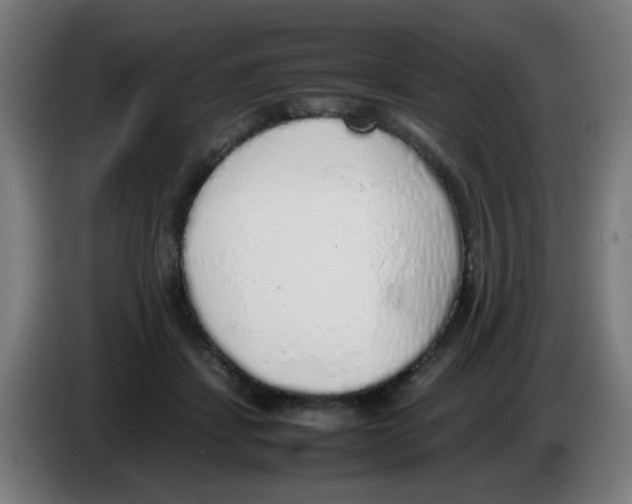 X0000086230459200704261859