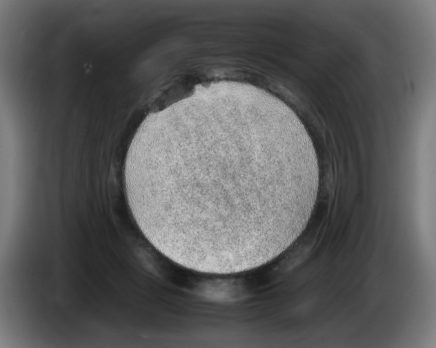 X0000086230461200704261859