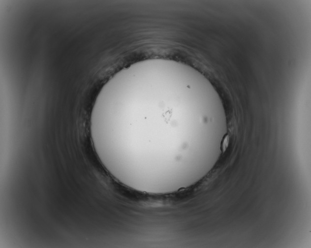 X0000086230464200704261859