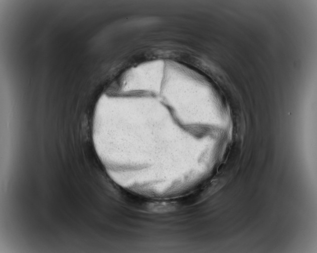 X0000086230465200704261900