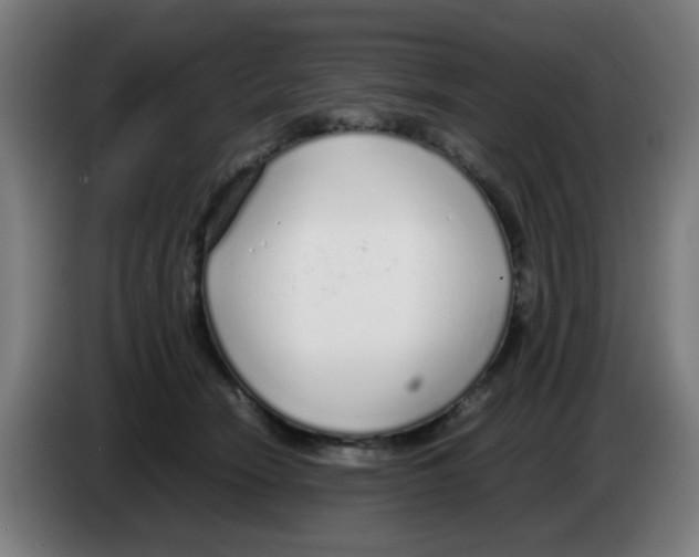 X0000086230466200704261900