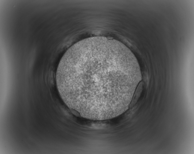 X0000086230470200704261900