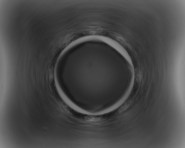 X0000086230471200704261900