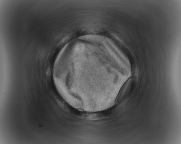 X0000086230472200704261900