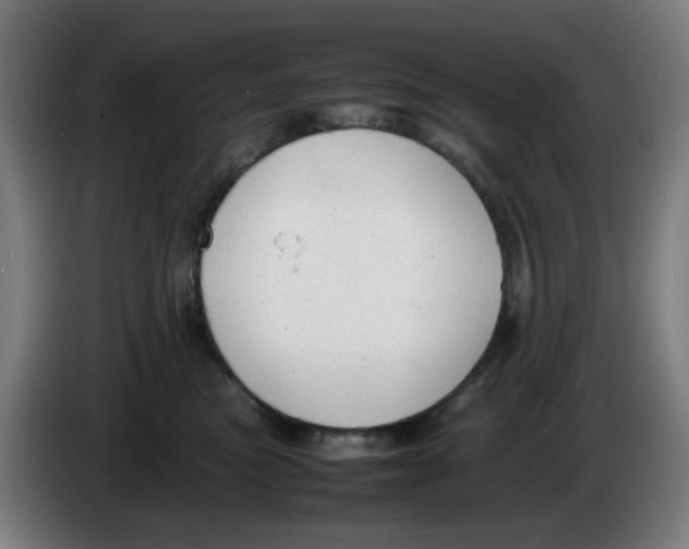 X0000086230473200704261900