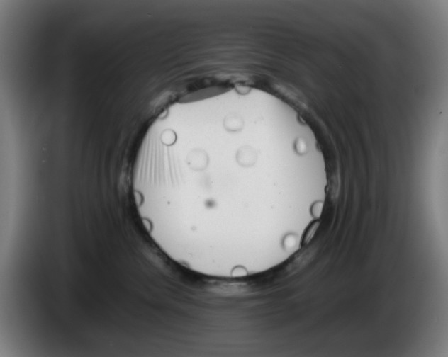 X0000086230476200704261900