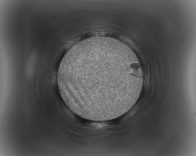 X0000086230477200704261900