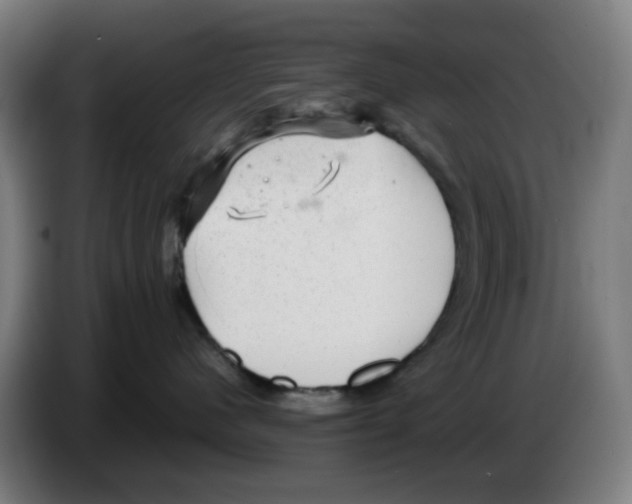 X0000086230480200704261900