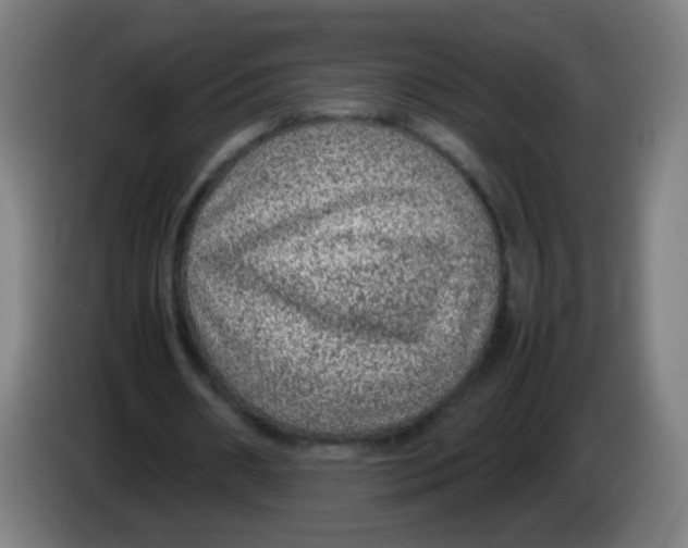 X0000086230482200704261859