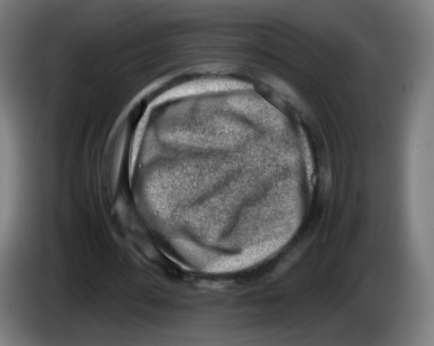 X0000086230484200704261859