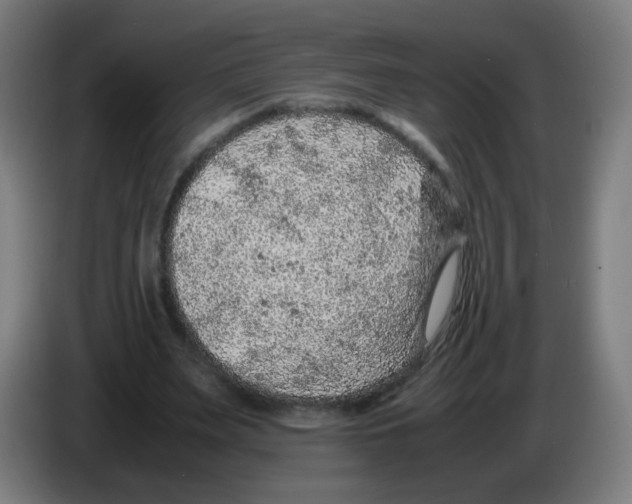 X0000086230487200704261859