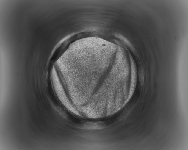 X0000086230488200704261859