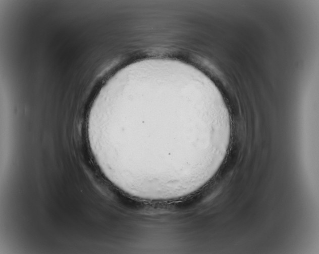 X0000086230491200704261859